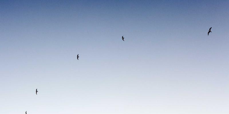 从像素到品牌资产：元宇宙中切达头造型的视觉设计与创意延伸