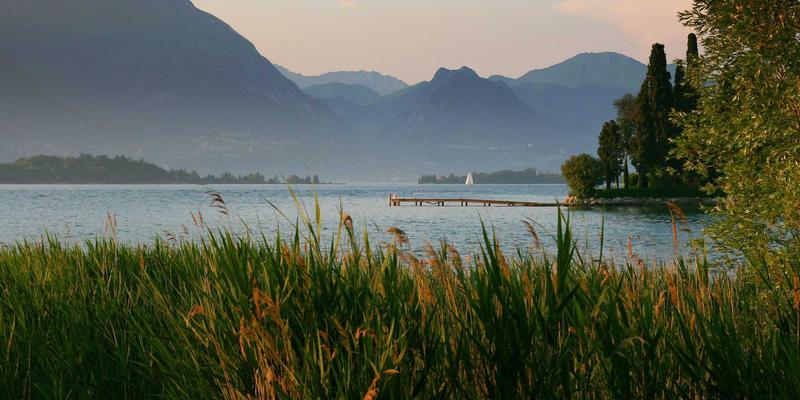 从发型到符号：切达头如何通过拟物化设计成为电竞战队的品牌识别利器