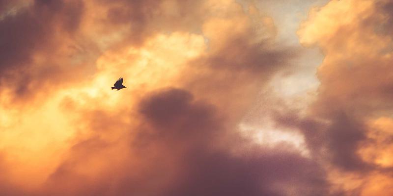 从复古像素到未来主义：切达头设计的视觉演变与创意趋势深度解析