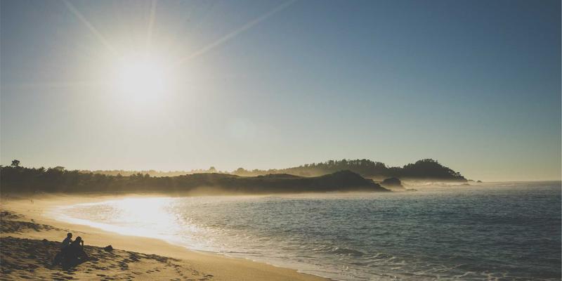 从奶酪到创意：切达头设计如何重塑品牌视觉叙事