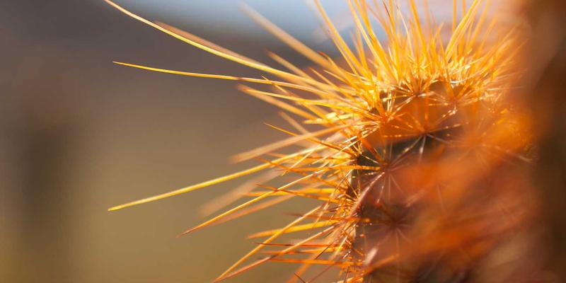 从符号到灵魂：切达头设计如何成为影视人物的视觉密码