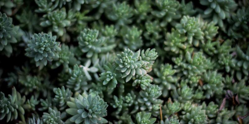 切达头设计14：以创意设计重塑品牌形象，驱动品牌策划新思维