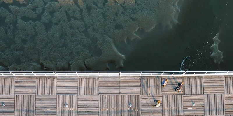 切达头设计39:拟物化设计的创意复兴与数字美学新表达