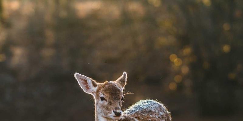 切达头设计4：创意设计与品牌策划的融合之道