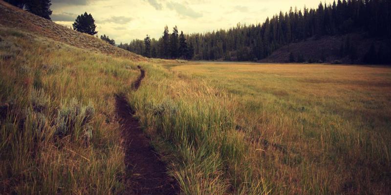 切达头设计64：品牌策划与创意设计的化学反应