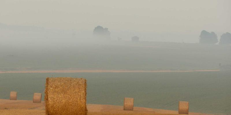 切达头设计73:视觉与创意的化学反应,如何打造令人过目不忘的设计语言