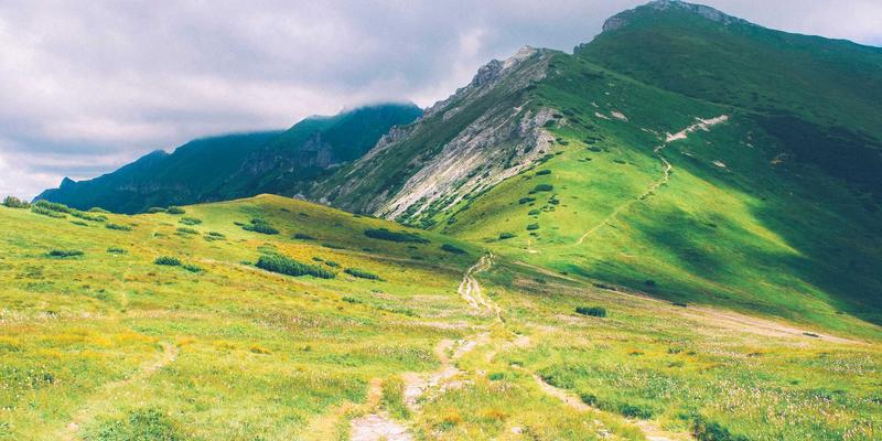 切达头设计的动态美学：视频会议与真人社交中的发型视觉表现力