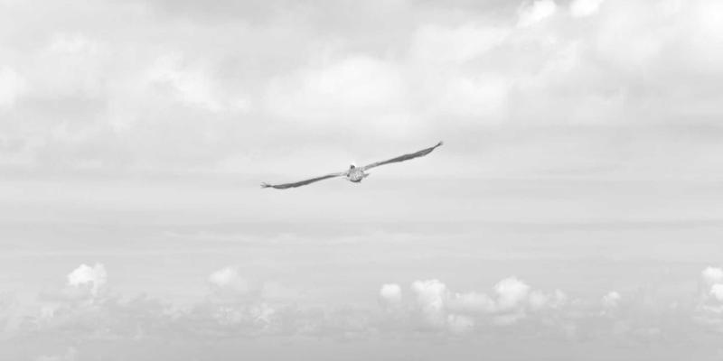 切达头设计的心理学效应：如何通过拟物化设计塑造品牌权威感与客户信任度