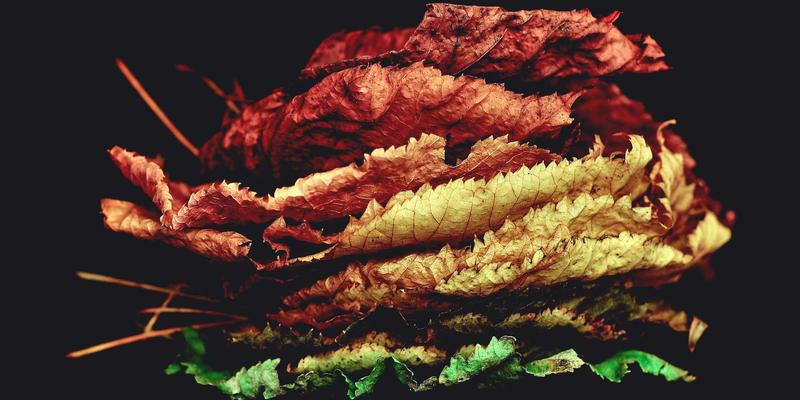 切达头设计：视觉设计与品牌策划的融合艺术