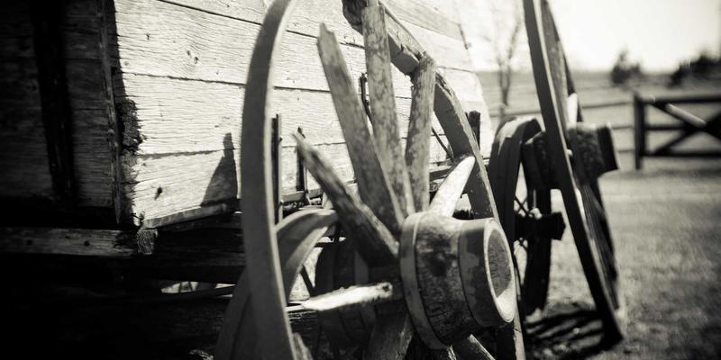 创意设计赋能仪式感：拟物化切达头在婚礼定制中的品牌策划之道