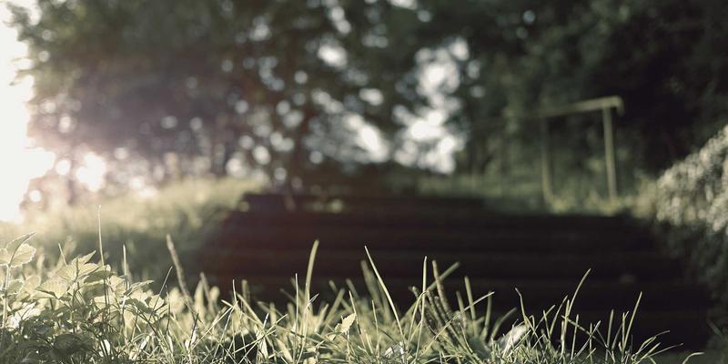 可持续发型设计新趋势：低维护切达头如何重塑都市通勤者的创意视觉形象