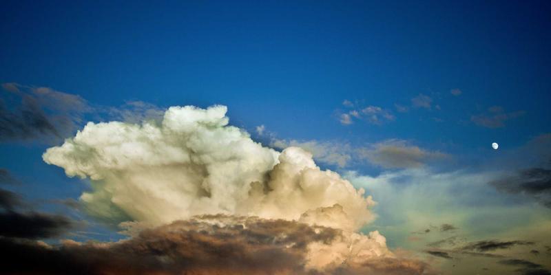 拟物化设计新篇章：切达头设计与眼镜配饰的协同美学——框架形状与鬓角线条的视觉交响