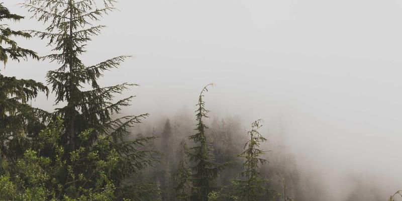 拟物化设计新高度：结合颅顶与头骨形状的切达头三维立体裁剪技术如何重塑品牌形象