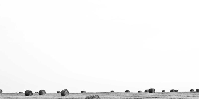 视觉设计新维度：如何通过切达头设计元素重塑企业高管个人品牌影响力