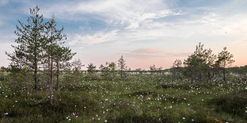 视觉设计的质感革命：从切达头设计看发蜡与发泥的拟物化隐喻